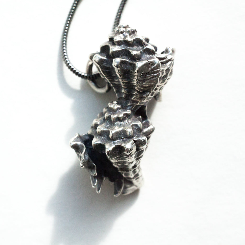 double conch shells silver pendant. From a trompe l'oeil painting by Gijsbrecht,